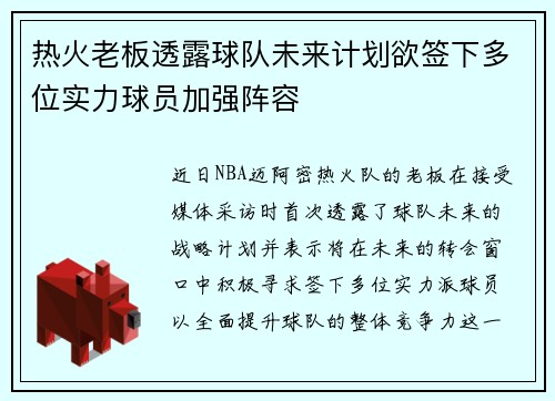 热火老板透露球队未来计划欲签下多位实力球员加强阵容