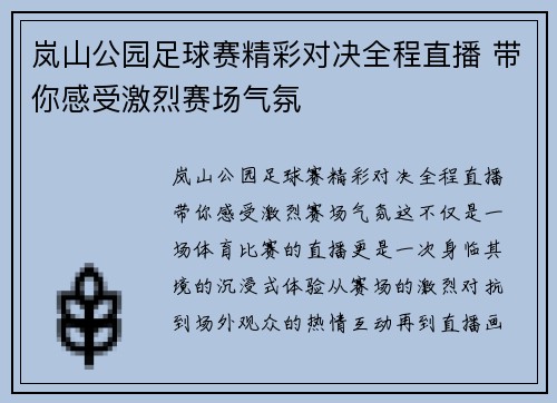 岚山公园足球赛精彩对决全程直播 带你感受激烈赛场气氛