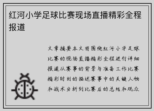 红河小学足球比赛现场直播精彩全程报道